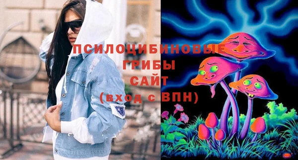 не бодяженный Арсеньев