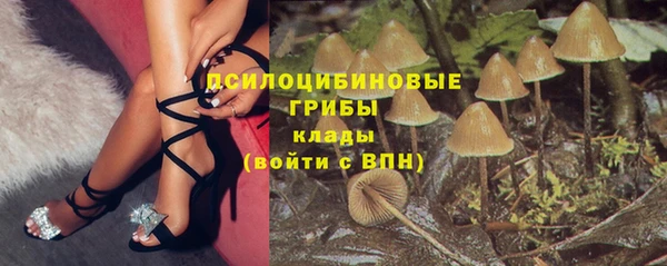 дурь Армянск
