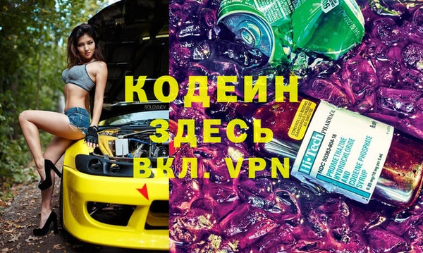 индика Баксан